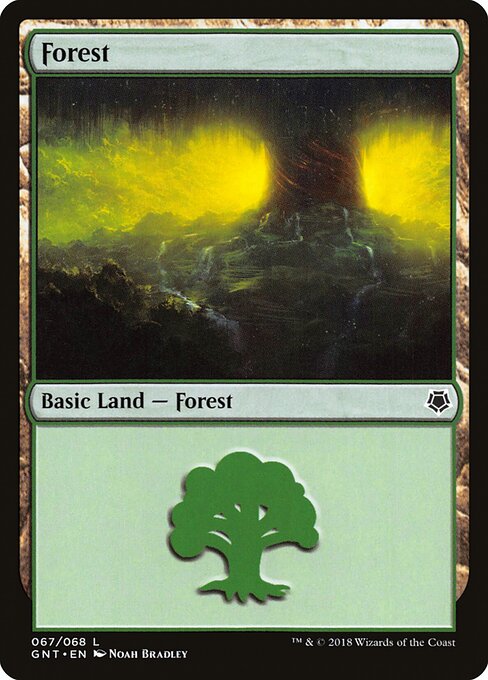 Floresta — Game Night 67