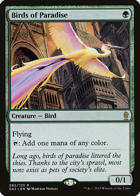 Aves do Paraíso — RNA Guild Kit 82