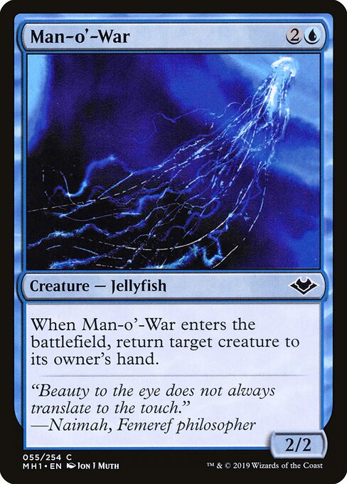 Physalia — Modern Horizons 55