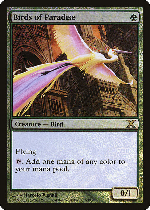 Aves do Paraíso — Tenth Edition 252★