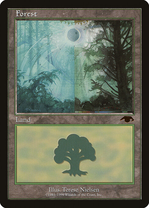 Floresta — Guru 5