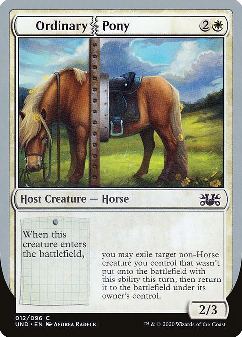 Ordinary Pony — Unsanctioned 12