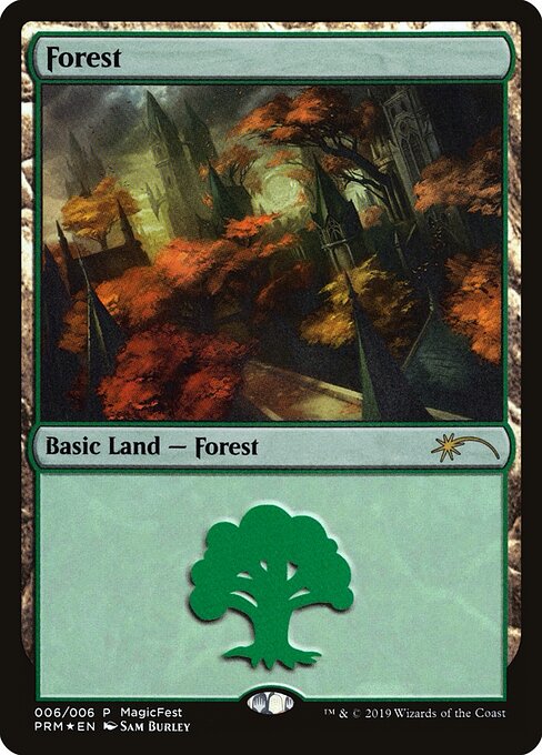 Floresta — MagicFest 2019 6