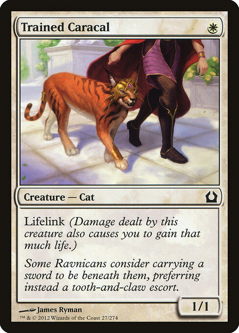 Caracal Treinado — Return to Ravnica 27