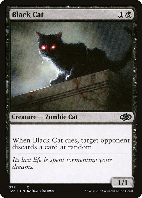 Gato Preto — Jumpstart 2022 377