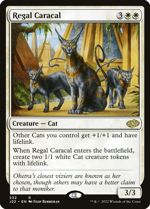 Caracal Régio — Jumpstart 2022 232