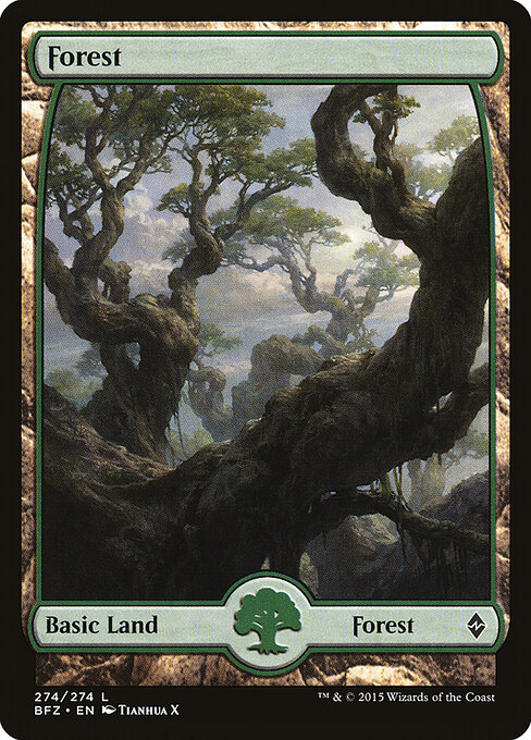 Floresta — Battle for Zendikar 274