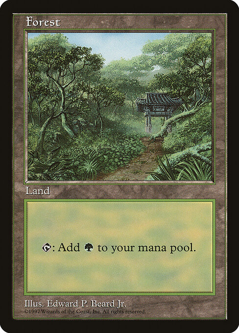 Floresta — Asia Pacific Land Program 11
