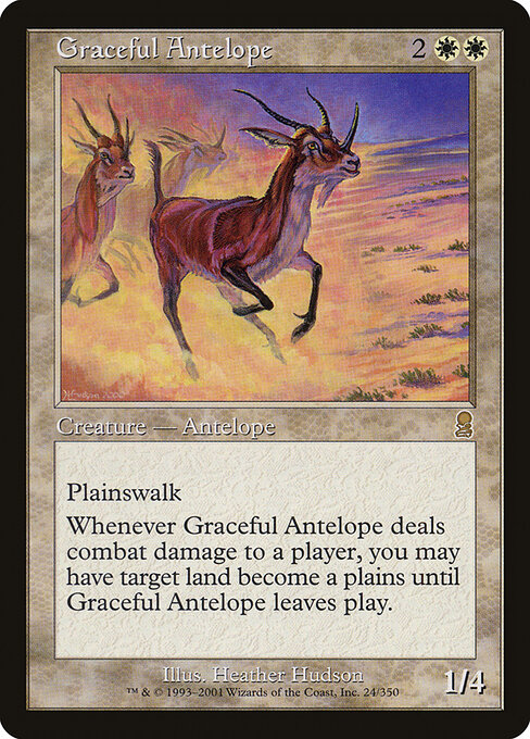 Antílope Elegante — Odyssey 24
