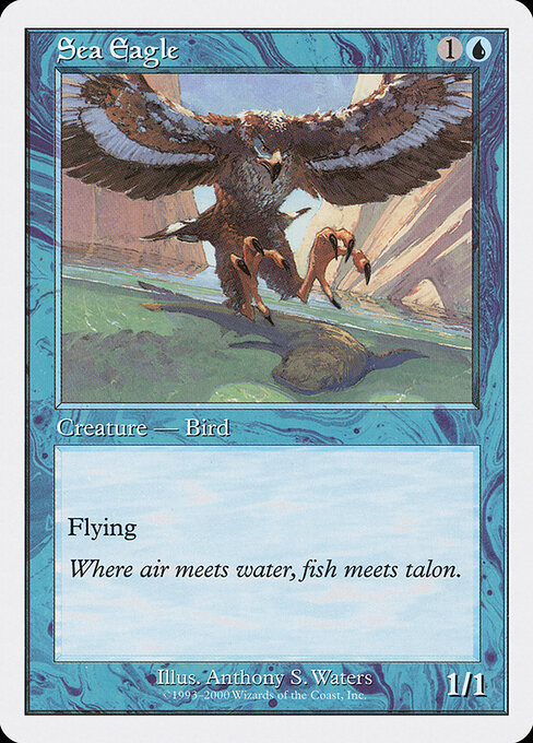 Sea Eagle — Starter 2000 18