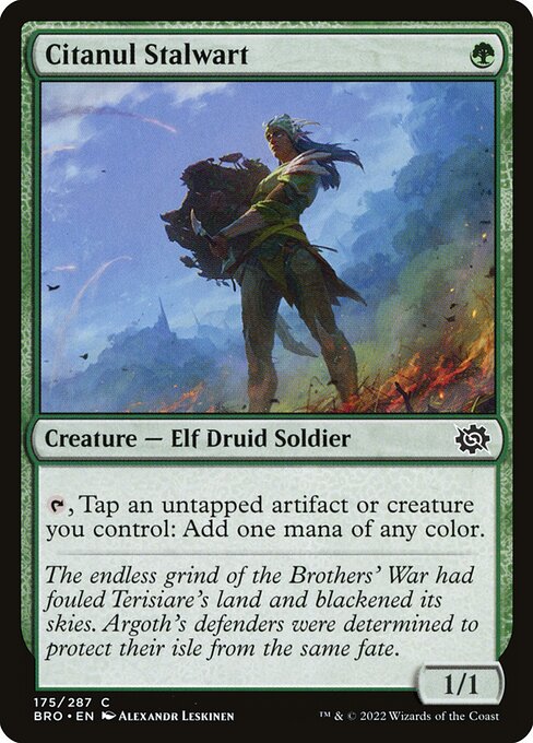 Destemido de Citanul — The Brothers' War 175