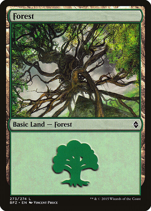 Floresta — Battle for Zendikar 273a