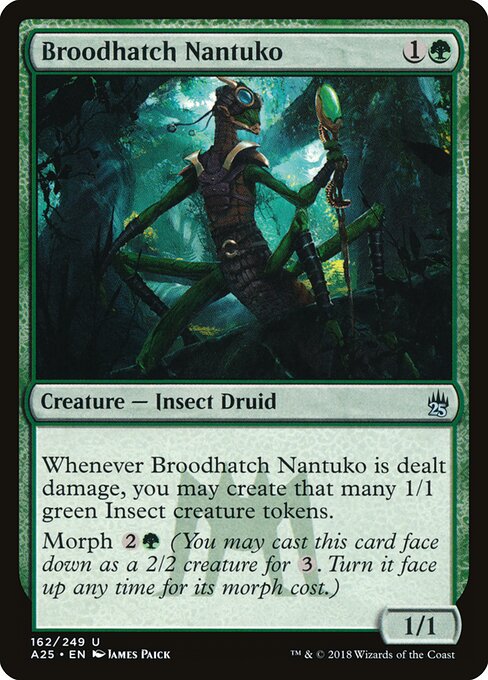 Nantuko Choca-Ninhadas — Masters 25 162