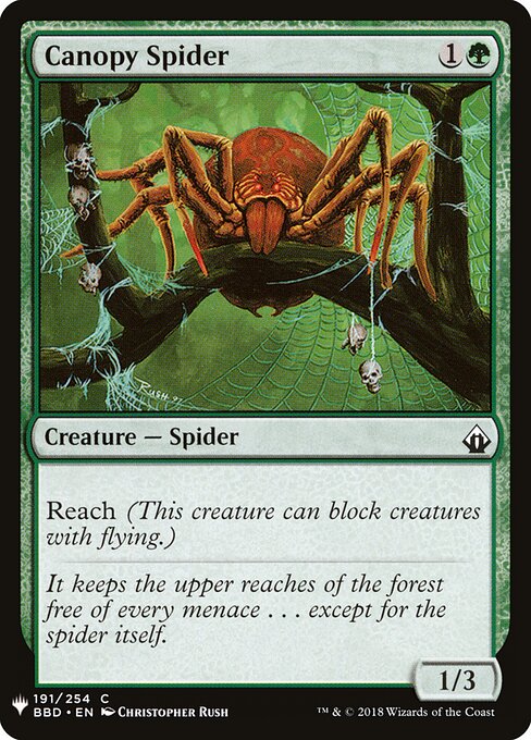 Aranha Baldaquina — The List BBD-191