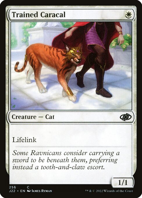 Caracal Treinado — Jumpstart 2022 256