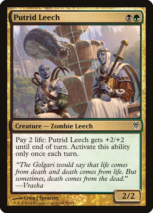 Sanguessuga Pútrida — Duel Decks: Jace vs. Vraska 51