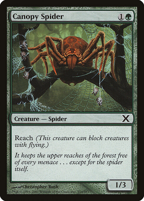 Aranha Baldaquina — Tenth Edition 254