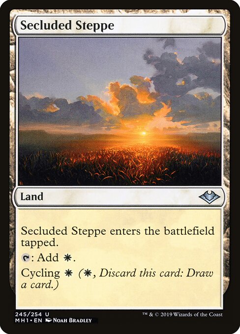 Estepe Remota — Modern Horizons 245