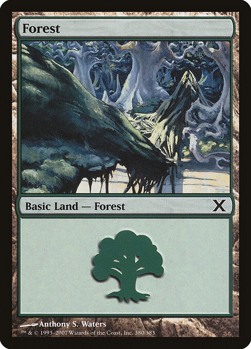 Floresta — Tenth Edition 380