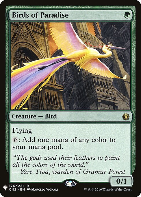 Aves do Paraíso — The List CN2-176