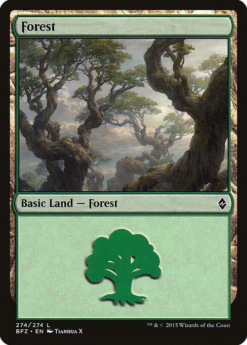 Floresta — Battle for Zendikar 274a