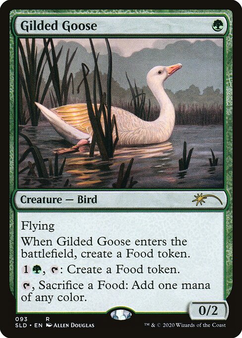 Ganso Dourado — Ornithological Studies 93