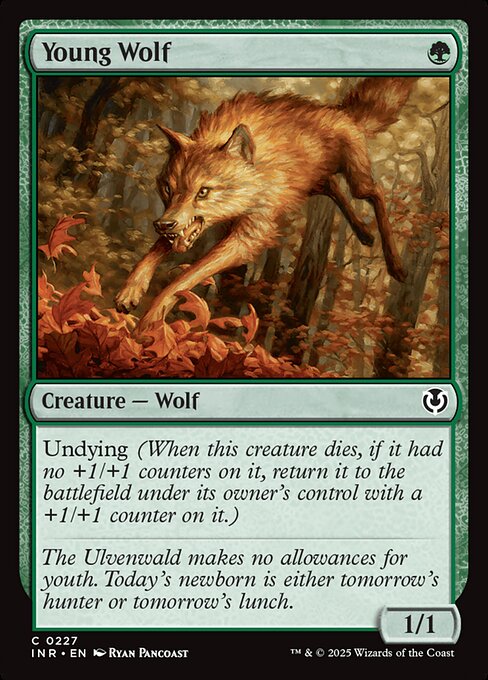Lobo Jovem — Innistrad Remastered 227