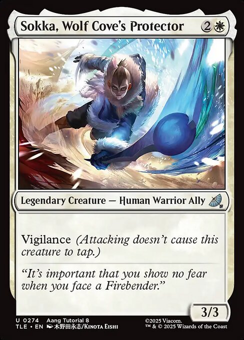 Sokka, Wolf Cove's Protector — Avatar: The Last Airbender Eternal 274