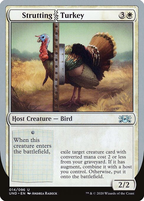 Strutting Turkey — Unsanctioned 14