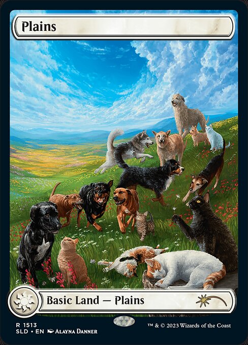 Planície — Raining Cats & Dogs 1513