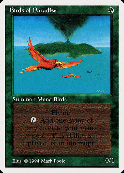 Aves do Paraíso — Summer Magic / Edgar 187