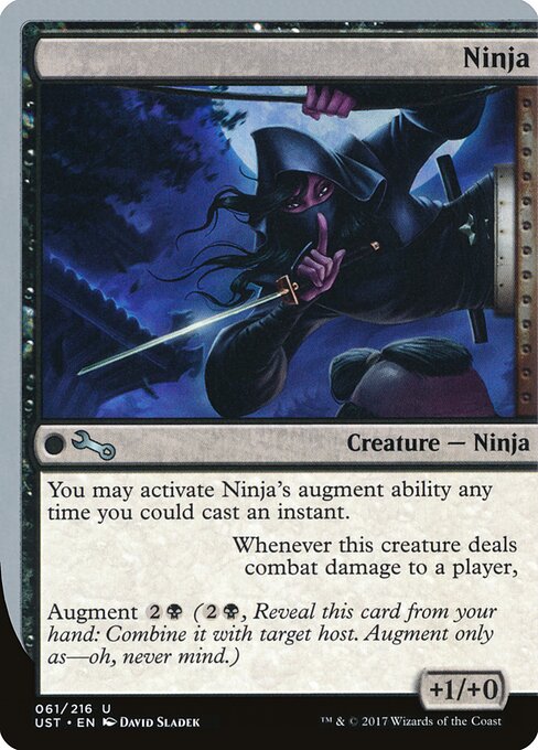 Ninja — Unstable 61