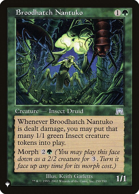 Nantuko Choca-Ninhadas — The List ONS-250