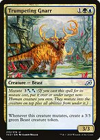 Gnarr Berrador