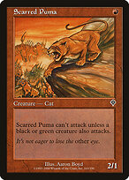 Puma da Cicatriz — Invasion 163
