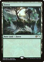 Floresta — MagicFest 2020 6