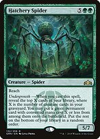 Aranha do Chocadouro