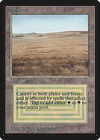 Savannah — Limited Edition Beta 281