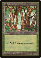 Floresta — Asia Pacific Land Program 6