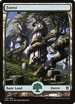 Floresta — Zendikar Rising 279