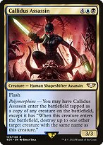 Assassina Callidus