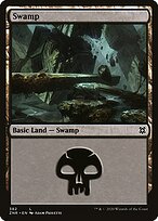 Pântano — Zendikar Rising 382