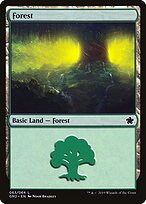 Floresta — Game Night 2019 63