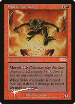Saqueador de Skirk — Arena League 2003 6