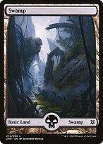 Pântano — Zendikar Rising 273