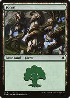 Floresta — Zendikar Rising 384