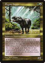 Hipopótamo Pigmeu — Visions 133