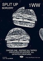 SPLIT UP — The Zeta Set 132