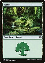 Floresta — Game Night: Free-for-All 135