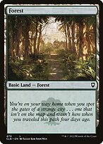 Floresta